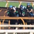 エルトンバローズ、関屋記念1週前追い切り速報/栗東トレセンニュース