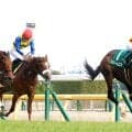 【注目馬動向】オークス２着のドリームコアが美浦・田中博厩舎へ転厩　社台グループオーナーズが発表