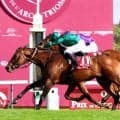 凱旋門賞の人気上昇　パリ大賞でＧ１初制覇の英３歳牡馬　日本馬で最上位人気はメイショウタバル＆アドマイヤテラ