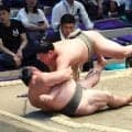 幕下・藤壮大が連勝発進　３番相撲以降で番付の東西で並ぶ旭富士と対戦の可能性も「自分の相撲を取るだけ」