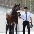 アーモンドアイの初子アロンズロッドに覚醒ムード　ラスト１１秒１でうなるような伸び　戸崎圭太騎手「力は上」