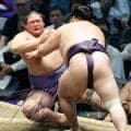 欧勝海が負傷、押し倒された後に右足首を痛める　車椅子で引き揚げ