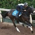 【東海Ｓ・１週前】「えぐいパフォーマンス」前走の７馬身差圧勝のドンインザムード　今野調教師は調整に手応え十分