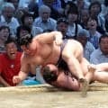 大関復帰を目指す安青錦が初黒星　過去１勝３敗と苦手の義ノ富士に敗れる