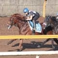【小倉記念】しっかり食べて元気いっぱい　素質馬ガイアメンテが先着で万全アピール　陣営「ピリピリするところもない」