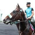 【函館２歳Ｓ】ロンドンガーズが芝コースで鋭伸　厩舎の初タイトルへ前川調教師「素質的には重賞を勝てる馬」