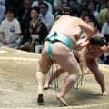 藤ノ川がっかり「はぁーしょうがないです」琴桜に敗れ２敗目　２横綱連破の勢い続かず