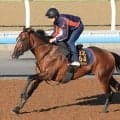 【関屋記念・１週前】サンダーストラックが自己ベスト更新　シンザン記念の覇者に陣営「良化の余地は残しています」
