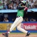 【ヤクルト】サンタナ「ホームランになってくれて…」先制16号ソロで来日初20本塁打あと４