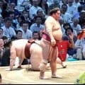 平幕・大栄翔　全勝の関脇・熱海富士を破り３勝目　「立ち合い良かった」