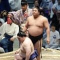 若元春「泰然自若の姿勢」土俵入り中の火災警報にも動揺なし　藤青雲を突き落とし２勝目