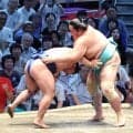 カド番大関・琴桜が３勝目　２日連続金星獲得の平幕・藤ノ川を退け「相手は関係ない」