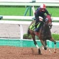 【函館２歳Ｓ】今週も武豊伝説、アグネスワールド以来２９年ぶりＶ狙う