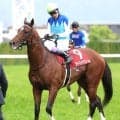 【注目馬動向】アドマイヤズームは富士Ｓからの始動を視野　秋もマイル路線へ