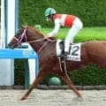 【注目馬動向】砂上で圧勝続きの新星　２億円のショウナンバンライがレパードＳ参戦！　鞍上は引き続き田山旺佑騎手