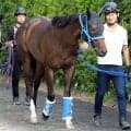 【ＰＯＧ】今村聖奈騎手のＸ動画で話題　新馬勝ちを狙えるツーハーツは「仕事を分かっている感じですね」