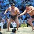 綱とりの大関霧島が初黒星　平戸海に苦杯　三役以上の全勝力士は消滅　若ノ勝と獅司が無傷５連勝　注目対決は大関復帰狙う安青錦がカド番琴桜破り１敗守る