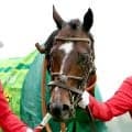【注目馬動向】シックスペンスが秋の大目標をマイルＣＳに　次走は武豊騎手とジャックルマロワ賞へ