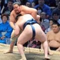 大関復帰を目指す安青錦が４勝目　カド番の琴桜から勝利