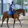 【関屋記念・１週前】ダノンセンチュリーがラスト１０秒７で抜群　宮田調教師「あまり見ないような時計」