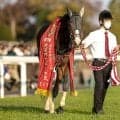 「2代目」フェリシタル 初代が果たせなかったデビュー勝ちなるか 