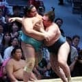 大関復帰狙う関脇安青錦　大関琴桜に快勝、４勝１敗で序盤終える「勝負はこれから」【大相撲】