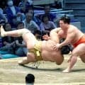 新十両の嵐富士が無傷の５連勝「勝っているので楽しい」　朝稽古後は伯乃富士と湯船につかって体をケア