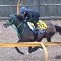 【小倉記念・データ埋蔵金】「０・５キロのハンデの馬は強い」の定説に要注目　前走芝２０００メートルから転戦の牝馬が波乱の目
