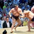平幕・平戸海が綱取りの大関・霧島を撃破し初勝利　八角理事長「立ち合いに圧力があった」