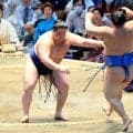 幕内２場所目の若ノ勝が無傷の５連勝　中盤戦へ「しっかり体のケアもして、集中してやりたい」