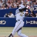 【阪神】「虎の浜ちゃん」が移籍後１号！浜田太貴が代打で左翼へ豪快アーチ描く