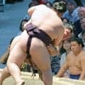 新小結・義ノ富士、序盤戦で白星先行　６日目は大関・霧島戦「しっかり考えていく」