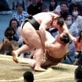 獅司　自身初の初日から５連勝　好調の理由は左肩手術とパリ公演での出来事