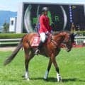 誘導馬として２年目を迎えたコントレイル世代のロバートソンキー、癒やしパワーは函館のなかでもトップレベル