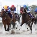 【小倉記念】笠松４年連続リーディングの２６歳、渡辺竜也騎手が中央重賞初挑戦　４歳馬ケイズレーヴと「悔いのない競馬をしたい」