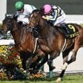 【小倉記念枠順確定】ジョバンニは8枠17番、ジーティーアダマンは5枠9番