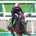 【函館２歳Ｓ】武豊騎手で初戦圧勝のシグレは７枠１１番　サリオス産駒イモージェンは６枠９番　枠順決定