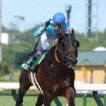 ヤマニンウルスが引退　デビュー戦で後続に４秒３差をつけた「未完の大器」が種牡馬入り