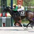 【マリーンＳ・金曜気配】武豊騎手も評価するヒルノハンブルク　函館２歳Ｓは僚馬シグレで土日メインジャックへ