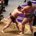 休場中の二子山親方に「勝っていい報告をしたいです」高原に続いて三田も白星、勝ち越し王手