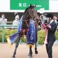 ２３年ニュージーランドＴを制したエエヤンが引退　今後は大学で乗馬になる予定