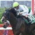 【関屋記念想定馬・騎手】エルトンバローズ、ドロップオブライトなど14頭