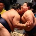 ５連勝中の22歳若ノ勝が右ひざ負傷か　車いす退場にファン悲鳴「大きいケガだけはやめて」