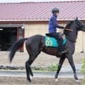 【ＰＯＧ】藤田晋オーナーの２・８億円馬アトミックリーチが８・８新潟デビューへ順調　宮田調教師「軽くて跳びも大きい」