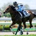 今週の武豊騎手は12鞍 シグレで函館2歳Sの29年ぶり2勝目なるか