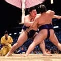 獅司６連勝で単独トップ　伯乃富士が豊昇龍から金星、若ノ勝は負傷　安青錦ら９人が１敗で並ぶ