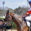 セレクト2.6億円のダノンアクション ガラリ一変で初勝利なるか