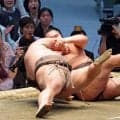 伯乃富士が横綱豊昇龍を撃破で５個目金星、今春の「眠れない」悩み克服して躍動【大相撲】