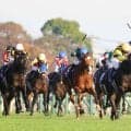 【キングジョージ】出走予定馬は１４頭　日本勢２頭に昨年ジャパンＣ覇者カランダガンや凱旋門賞２着ミニーホークも