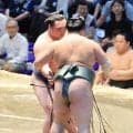 十両・白熊が６連勝　地元の須賀川巡業が８月に開催され「良い成績で地元に帰りたい」